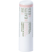 Bioearth Balsamo Stick Labbra Aloe E Acido Ialuronico 1 Pezzo-1