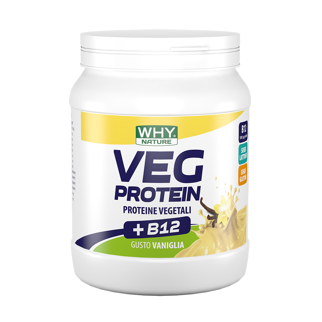 Whynature Veg Protein Vaniglia 450g-1