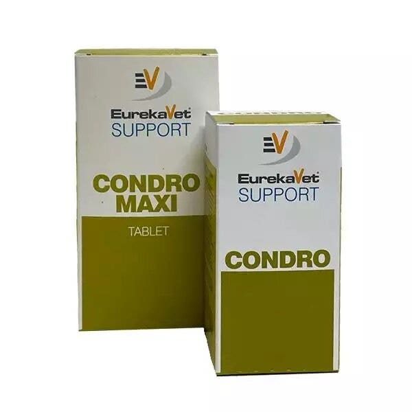 Vetcare Condro Maxi 100 Compresse-1