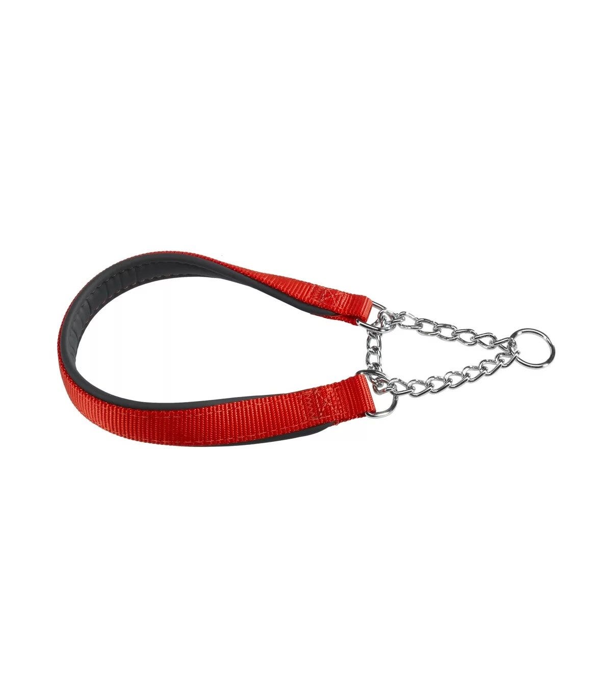 Ferplast Daytona CSS Collare Semistrangolo Nylon Soffice Imbottitura Rosso Per Cani CSS20/50-1