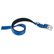 Ferplast Daytona C Collare In Nylon Con Soffice Imbottitura Blu Per Cani C25/53-1