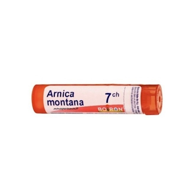 Boiron Arnica Montana Granuli 07Ch Tubo 4g  - 1