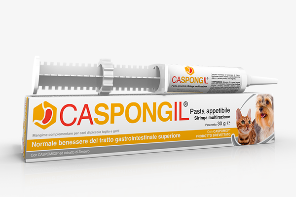Caspongil Pasta Gastrointestinale Cane E Gatto 30g-1