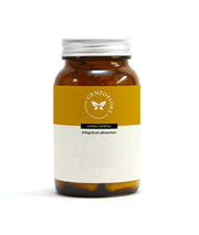 Cento Fiori Gymnema Plus 100 Capsule Vegetali-1