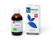 Cardiaca Tintura Madre Bio 100ml  - 3