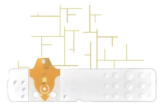 Linea D Oro 25 Strisce Glicemia  - 2