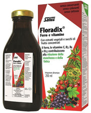 Floradix 250ml-4