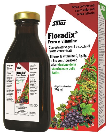 Floradix 250ml-4