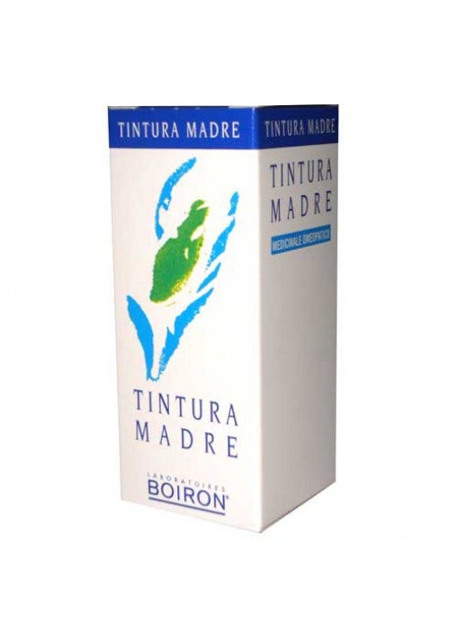 Betula Alba 60ml Tintura Madre  - 1