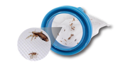 Licetec V-Comb Filtri Ricambio 8 Pezzi  - 1